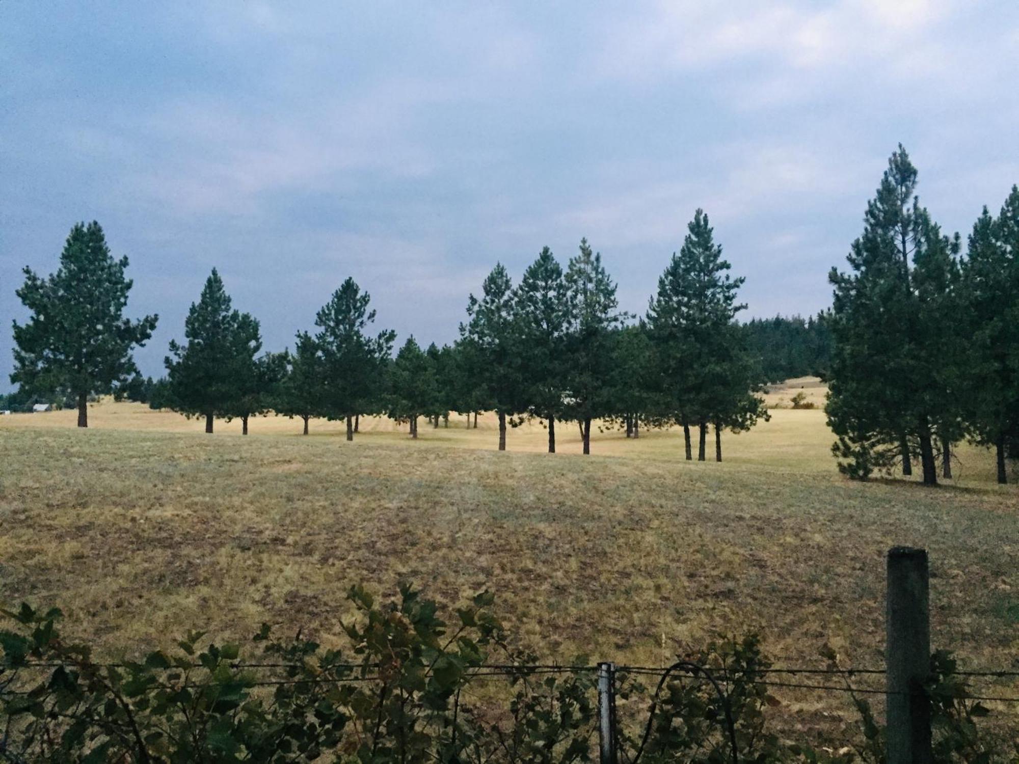 The Silverwood Lodge Athol Экстерьер фото